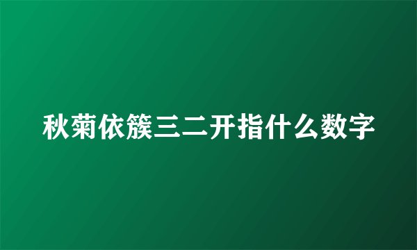 秋菊依簇三二开指什么数字