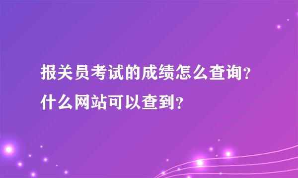 报关员考试的成绩怎么查询？什么网站可以查到？