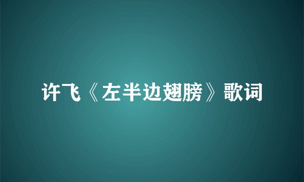 许飞《左半边翅膀》歌词