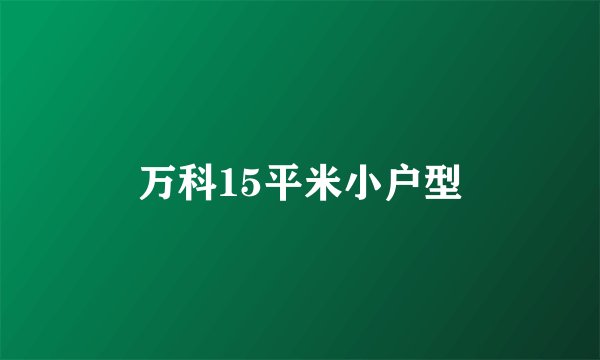 万科15平米小户型