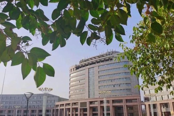 菏泽学院专科分数线