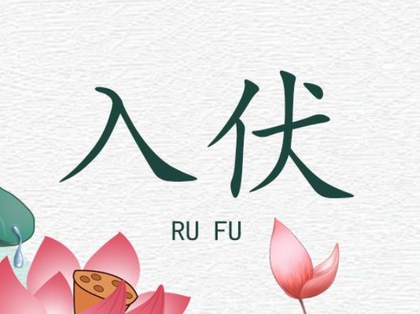 今日正式入伏几点