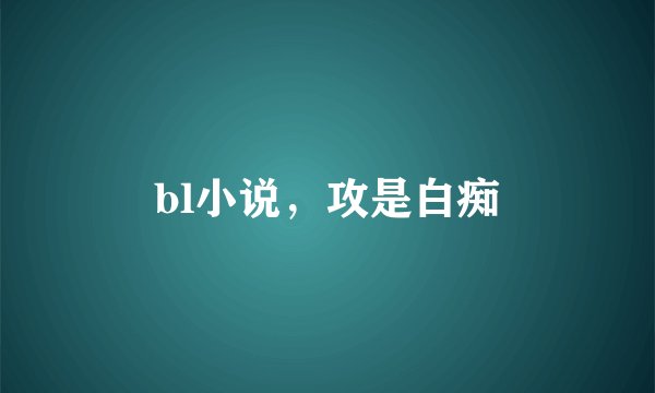 bl小说，攻是白痴