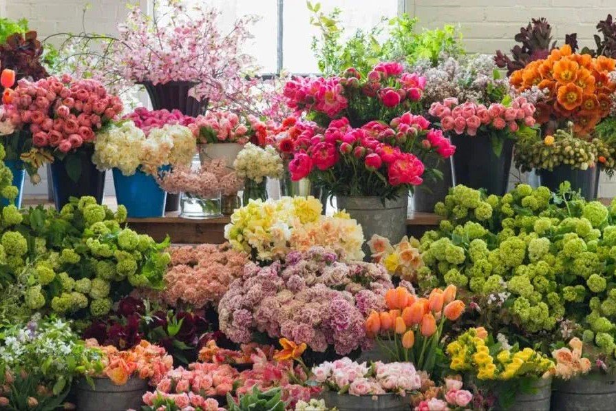 沈阳最便宜的花卉市场在哪里？