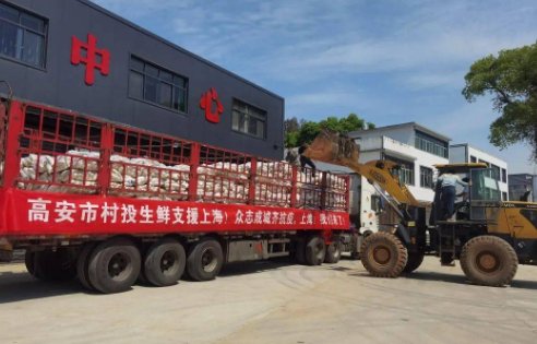 外地司机支援上海物资无人对接，这造成了多大的损失？