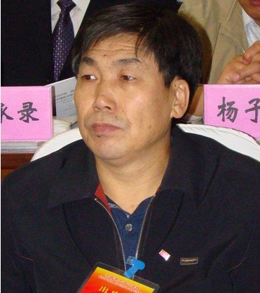 张生桢的工作分工