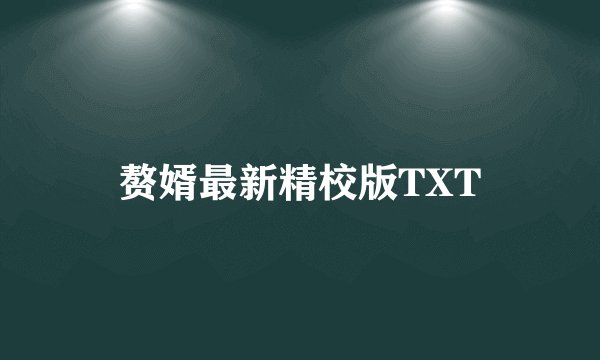 赘婿最新精校版TXT