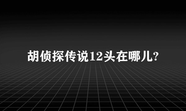 胡侦探传说12头在哪儿?