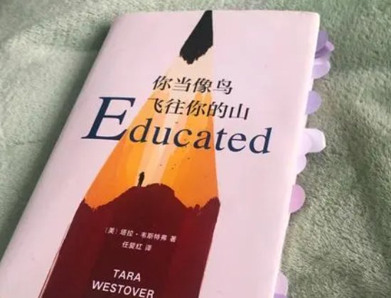 小黄车的书有哪些