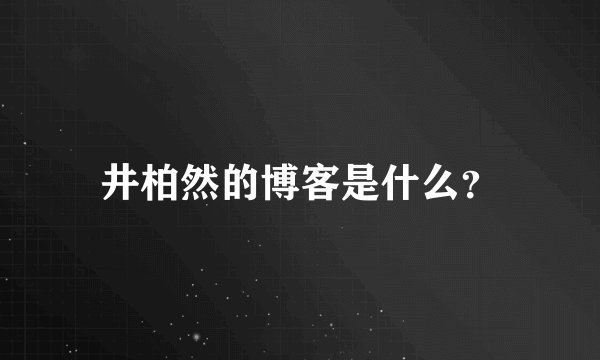 井柏然的博客是什么？