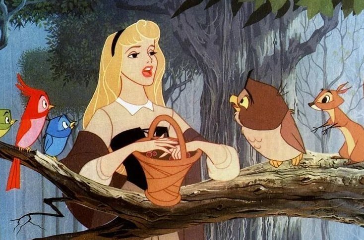 最近看了《睡美人》，但是完全看不懂剧情，有没有感兴趣的能给我具体的讲一讲，不要复制电影剧情简介，...