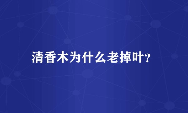 清香木为什么老掉叶？