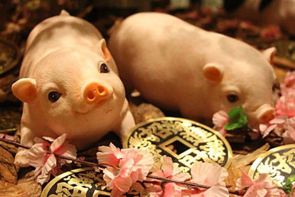 守发奉公打一生肖