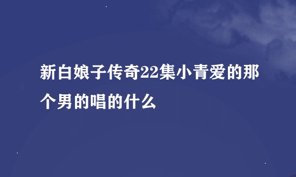 新白娘子传奇22集小青爱的那个男的唱的什么