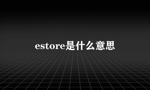 estore是什么意思