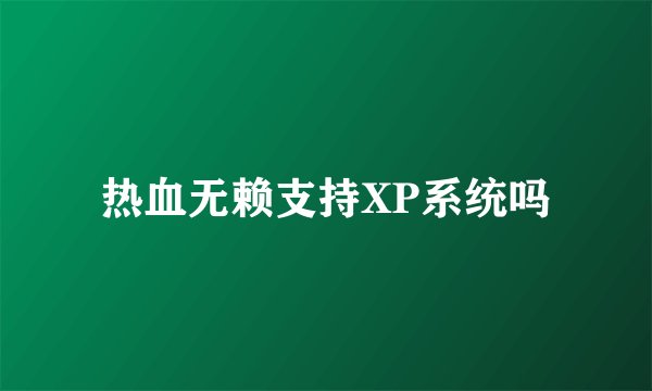 热血无赖支持XP系统吗