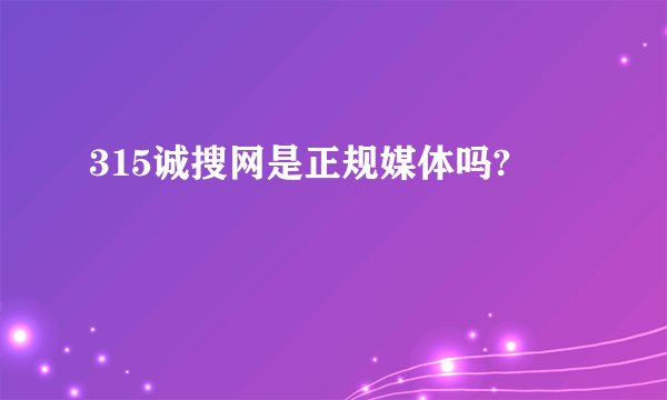 315诚搜网是正规媒体吗?