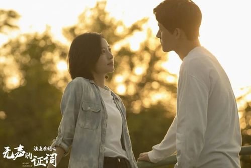 法医秦明之无声的证词这部剧一共有多少集？