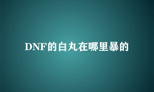 DNF的白丸在哪里暴的