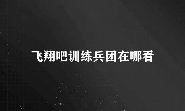 飞翔吧训练兵团在哪看
