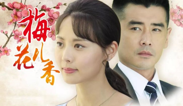 梅花儿香分集剧情介绍