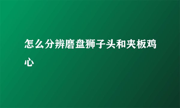 怎么分辨磨盘狮子头和夹板鸡心