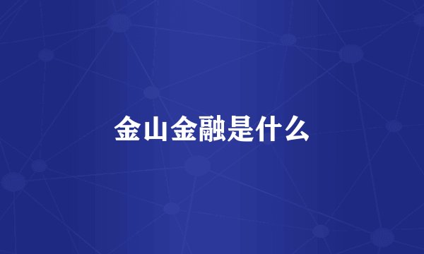 金山金融是什么