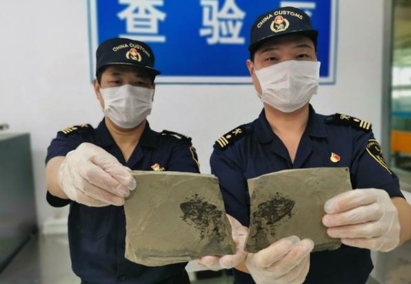 福州海关快件中查获侏罗纪化石的过程是怎样的？