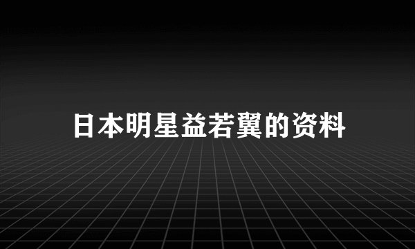 日本明星益若翼的资料