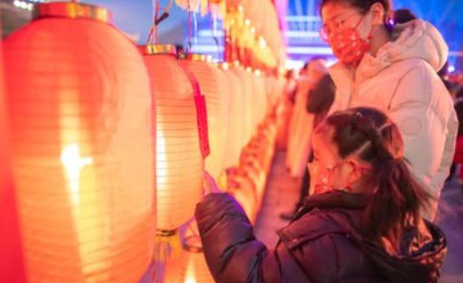 不进油盐打一生肖动物