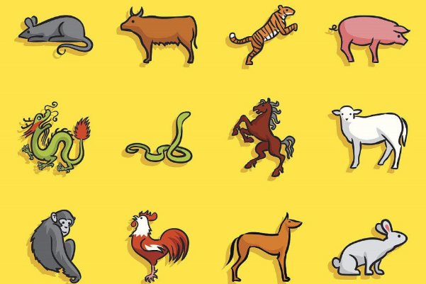 收回成命代表什么生肖