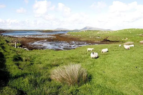 栖息之地是什么意思