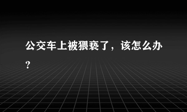 公交车上被猥亵了，该怎么办？