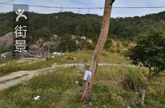 何虹健的案件审判