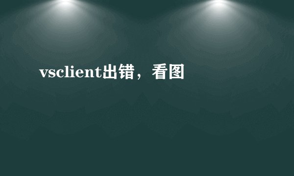 vsclient出错，看图