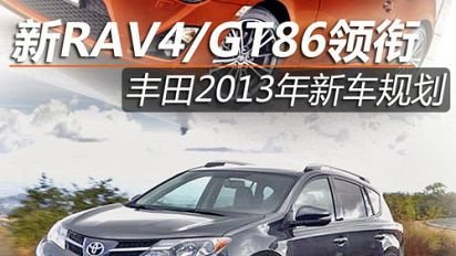 丰田爱丽的简介