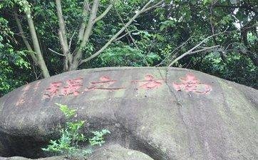 厦门大学有哪些别称或者美称？