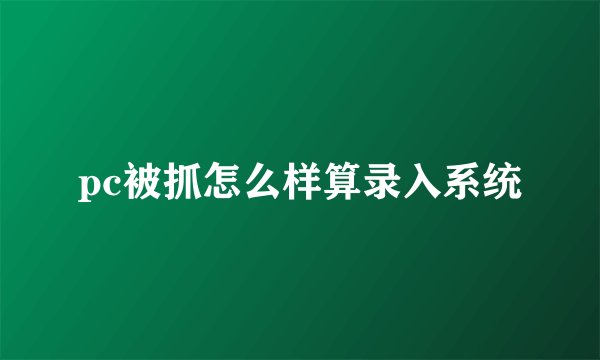 pc被抓怎么样算录入系统