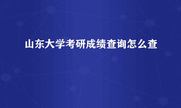 山东大学考研成绩查询怎么查
