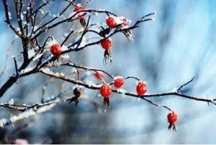 2021年现在已经进入几九了