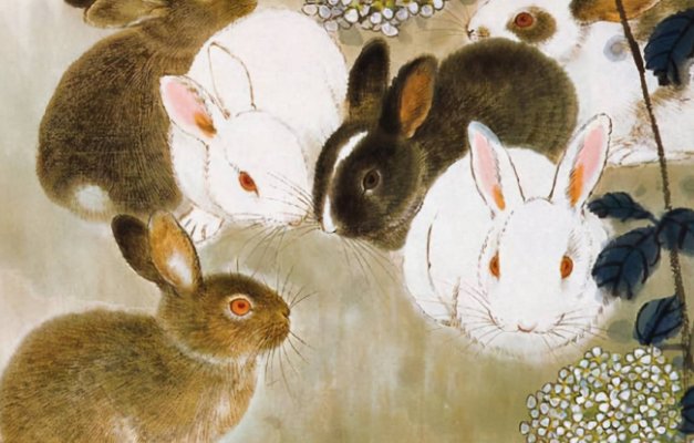 收回成命打一正确生肖