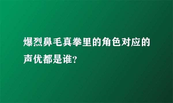 爆烈鼻毛真拳里的角色对应的声优都是谁？