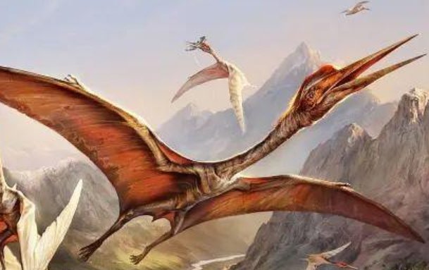 恐龙都有什么种类？