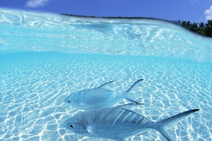 水的电阻率一般为多少