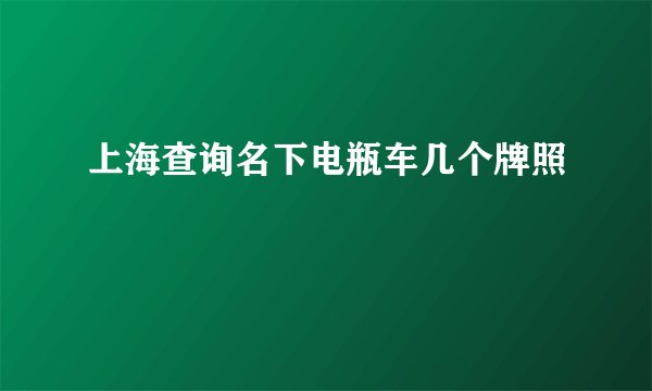 上海查询名下电瓶车几个牌照