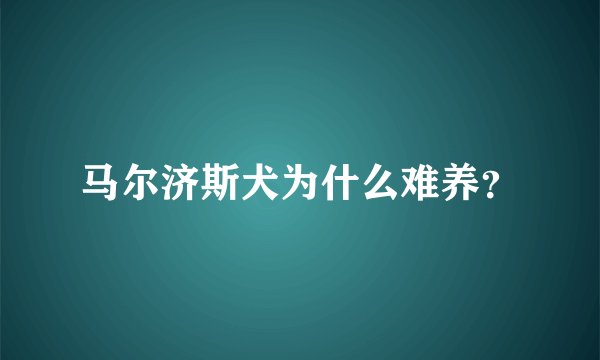 马尔济斯犬为什么难养？