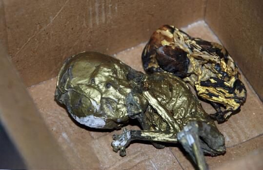 镀金婴尸是什么是灵异事件吗 泰国镀金婴尸多丧心病狂