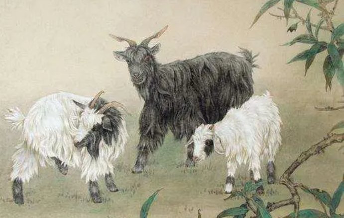 水软山温指什么生肖