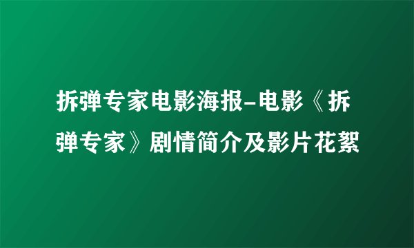 拆弹专家电影海报-电影《拆弹专家》剧情简介及影片花絮