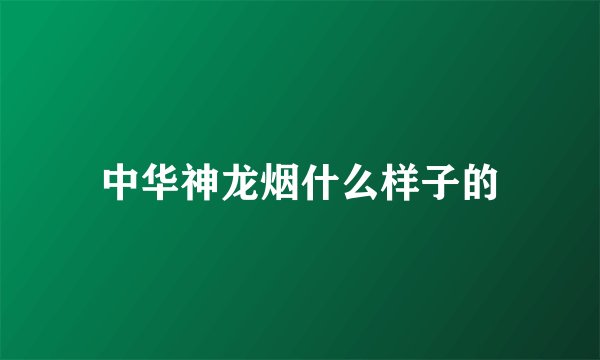 中华神龙烟什么样子的